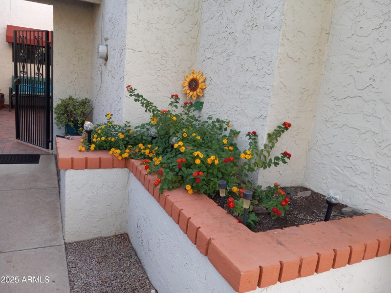 5139 N 76th Pl - Front Flowerbed