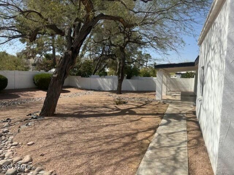backyard