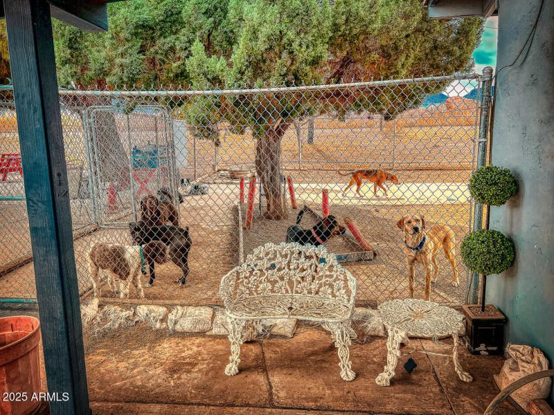 Hillside-kennel-HDR-2