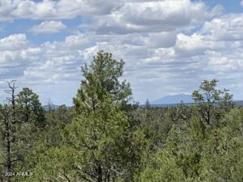View of the Mountains
