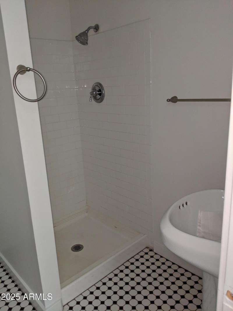 1146 E Diamond- Shower