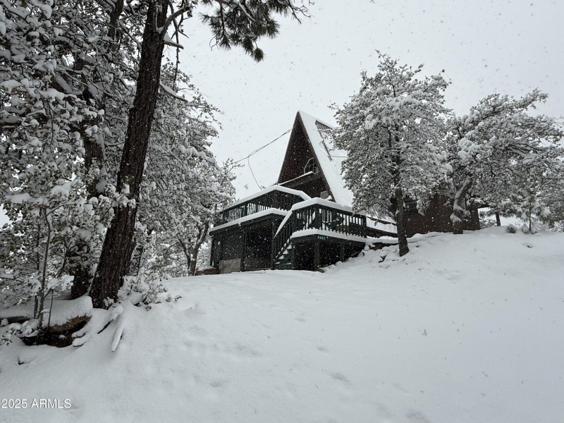 Cabin in the snow