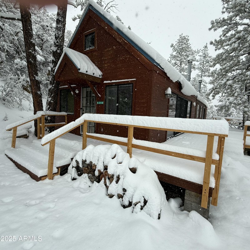 Cabin in the snow