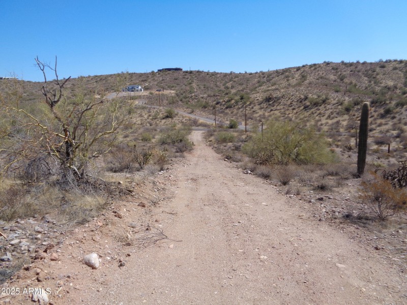 Looking down driveway