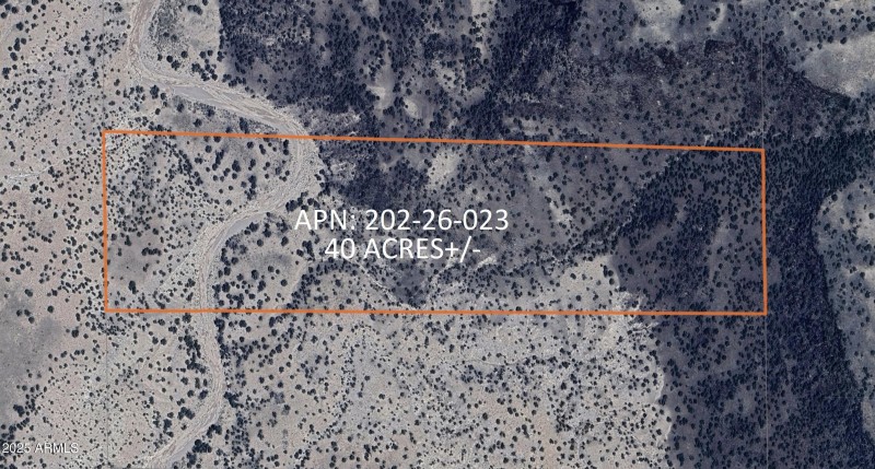 202 County Rd N6439
