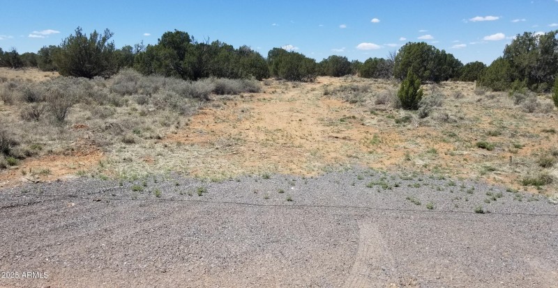 Split driveway access