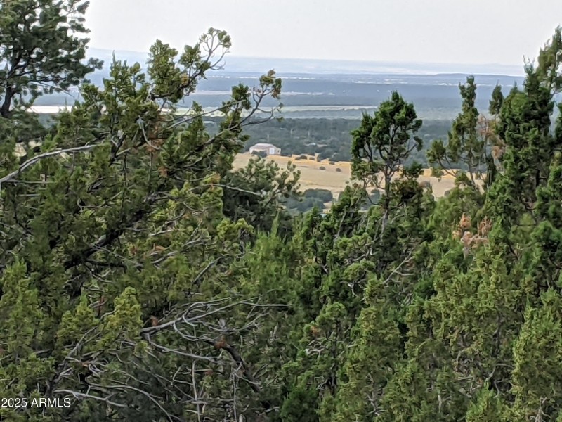 PXL_20210917_224759464