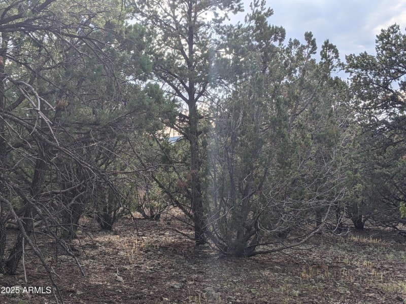 PXL_20210917_225315136 (1)