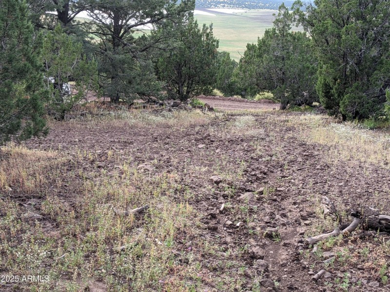 PXL_20210917_230609640