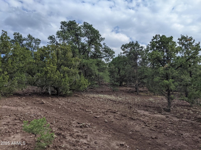 PXL_20210917_223839983