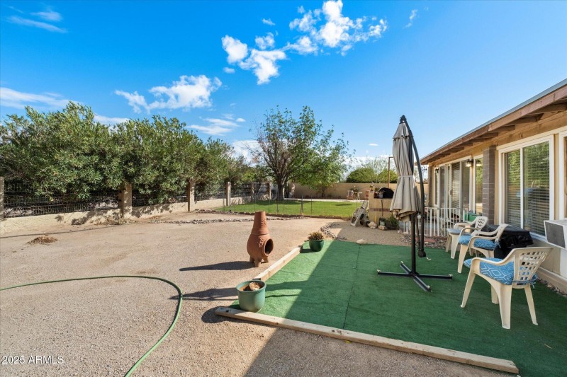 Back Yard