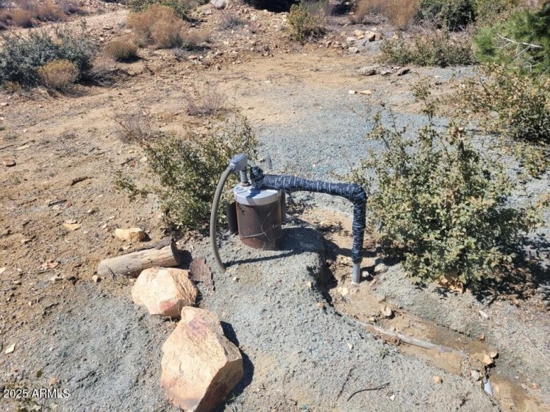 Well Head with pump