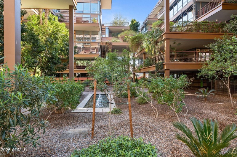 45-web-or-mls-DSC08554