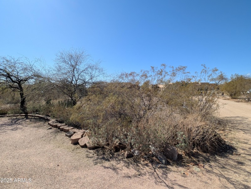PXL_20250318_221320403