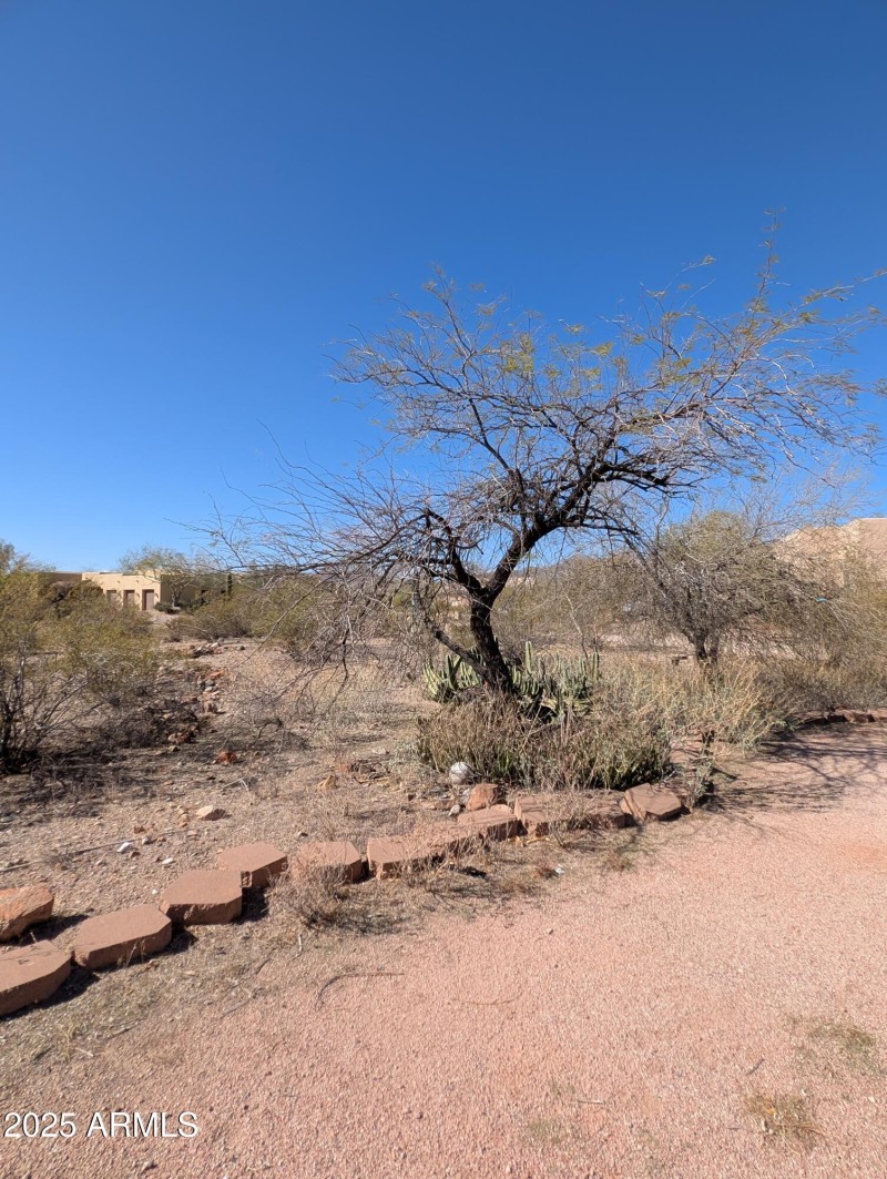 PXL_20250318_221347960