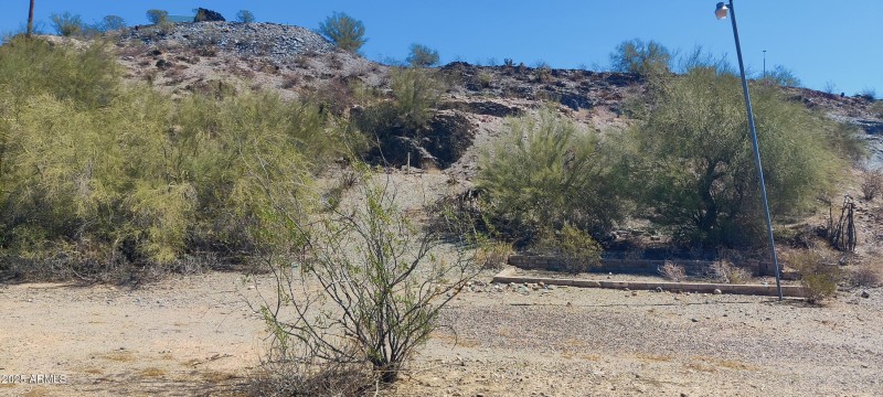 Looking North from Parceel 16G