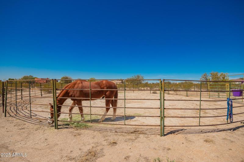 Corral Ready For Horses