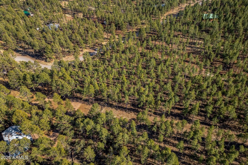 Parcel31111036J-PinetopLakeside-AZ-11