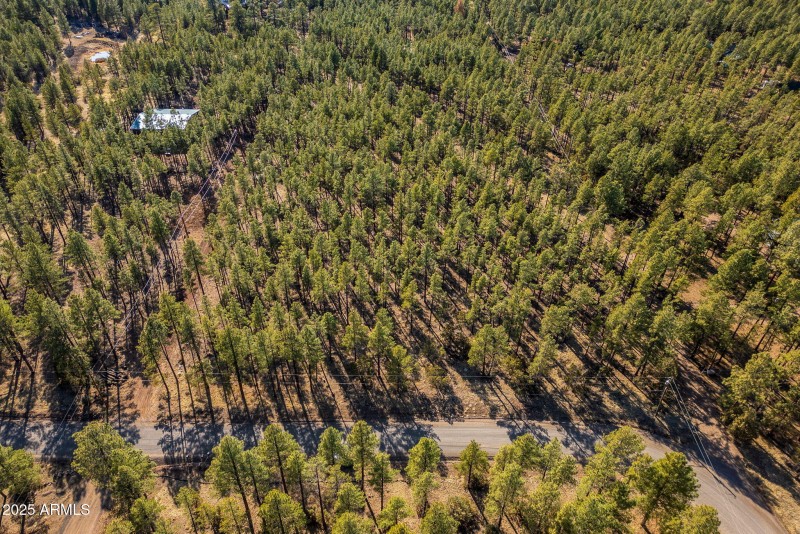 Parcel31111036J-PinetopLakeside-AZ-13