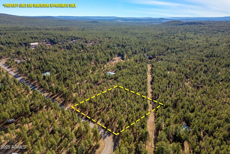 Parcel31111036J-PinetopLakeside-AZ-16