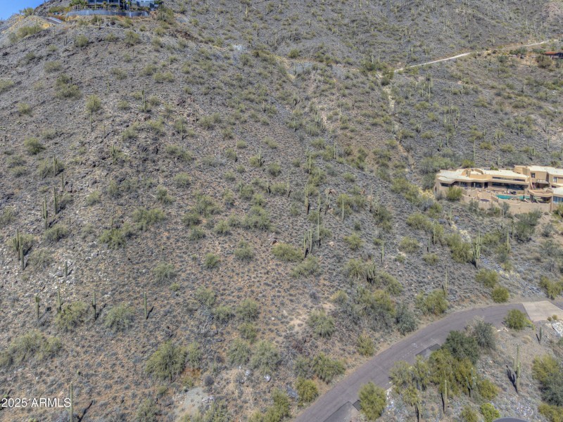 Beautiful Sonoran Desert