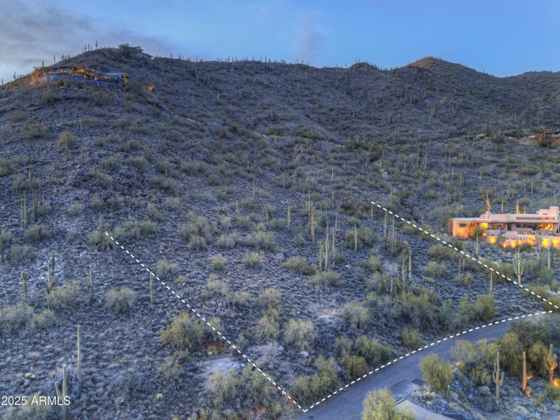 Many Giant Saguaros