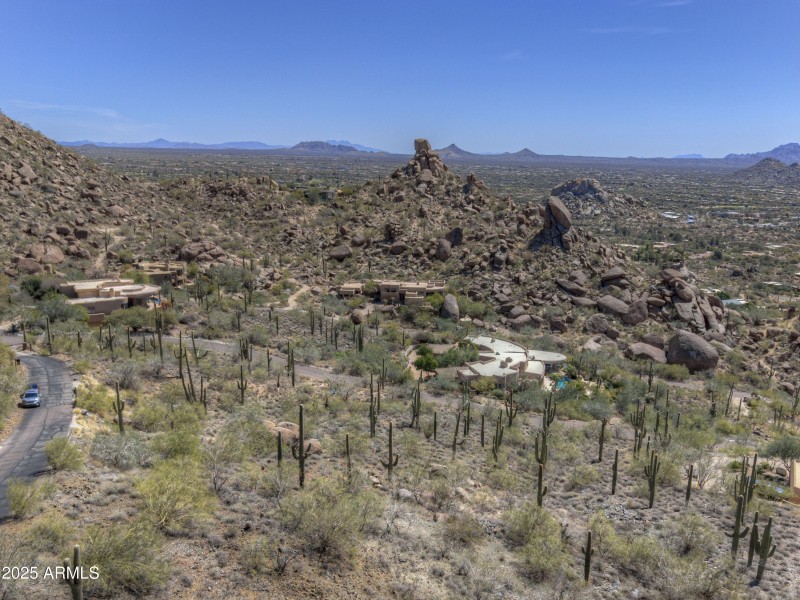 Stunning array of Sonoran Desert Beauty