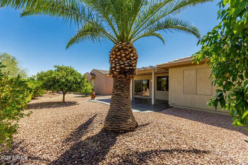 36 - Cactus Ridge 15136