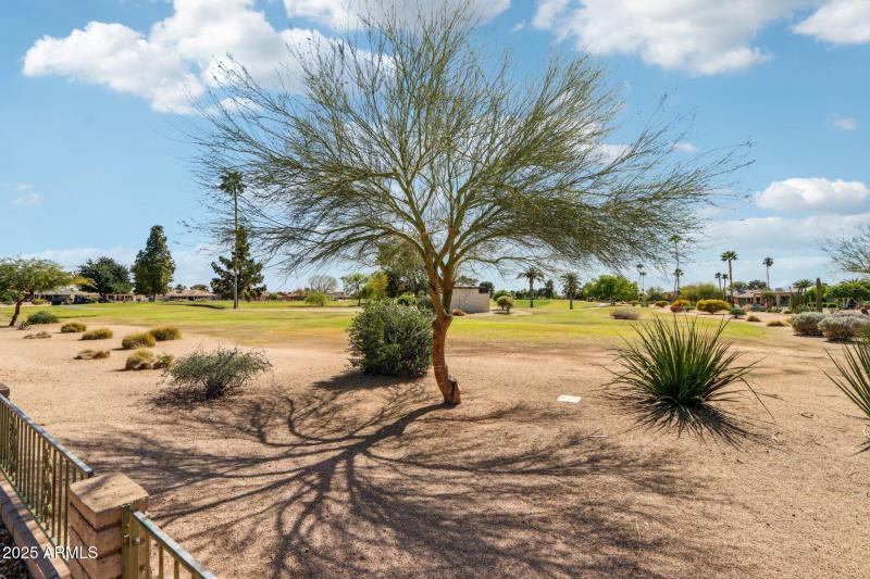 46-web-or-mls-N Cherry Tree Ln-26032025-