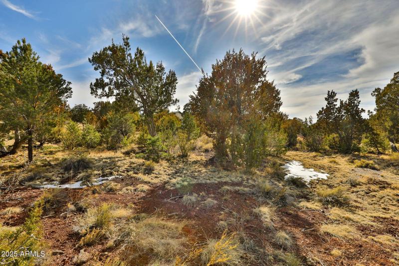 201-web-or-mls-786_E_Broncos_Trail_Willi