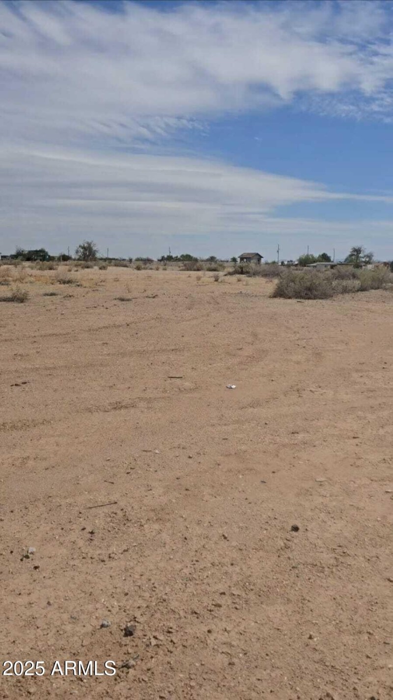 WhatsApp Image 2025-03-30 at 2.37.20 AM