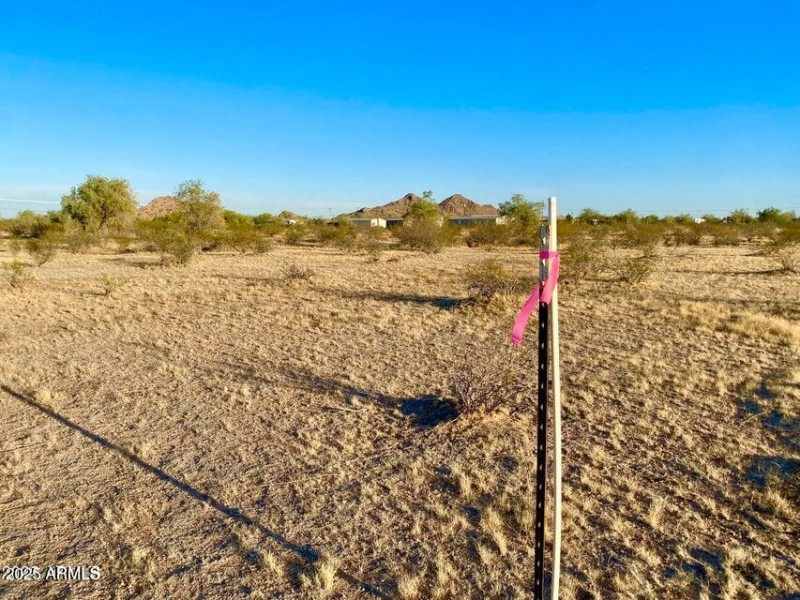 20250331052056971832000000-o