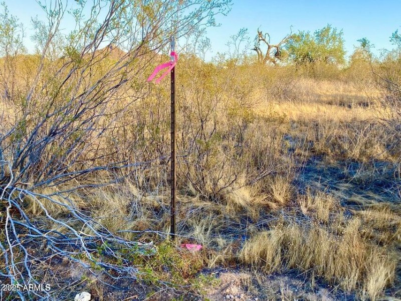 20250331052418119778000000-o