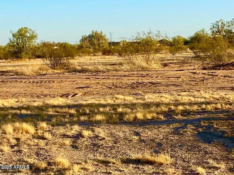 20250331052725548681000000-o