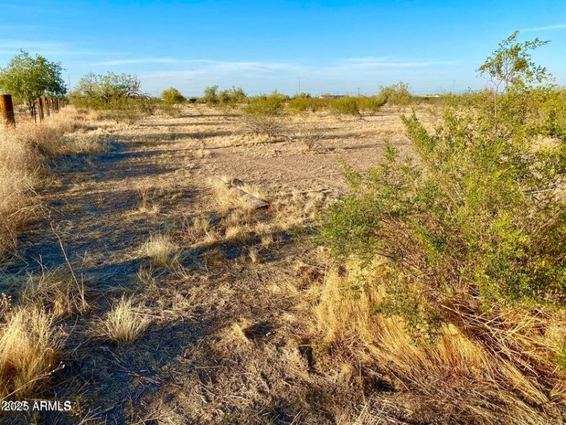 20250331051951762264000000-o