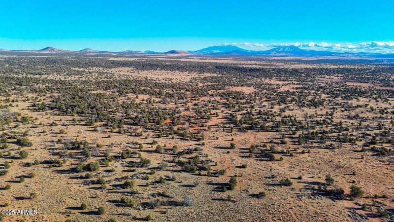 20250327083620512973000000-o