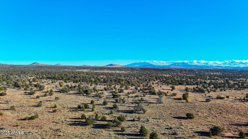 20250327083517576353000000-o