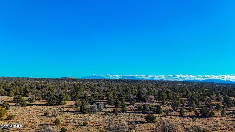 20250327083637045392000000-o