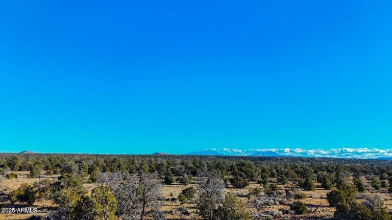 20250327082638561610000000-o