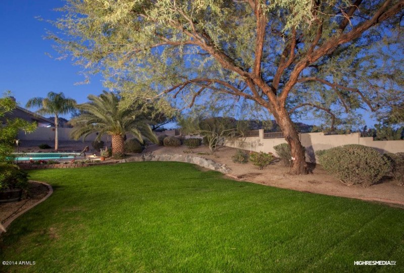 Backyard Grassy Area