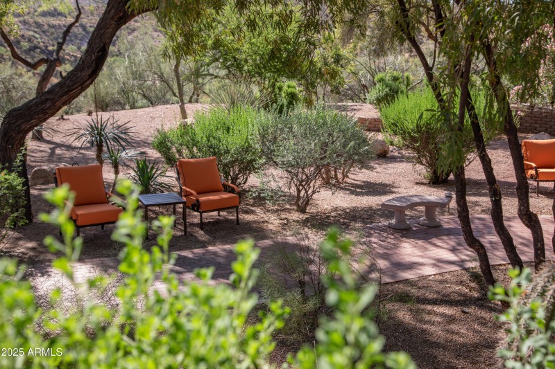 2023-Meadows-Adolescent-0792