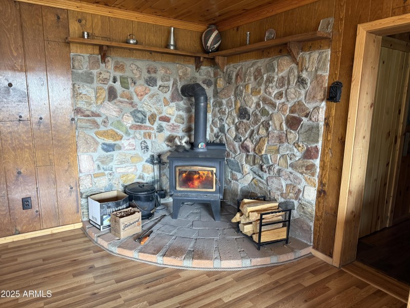 Wood burning fire place