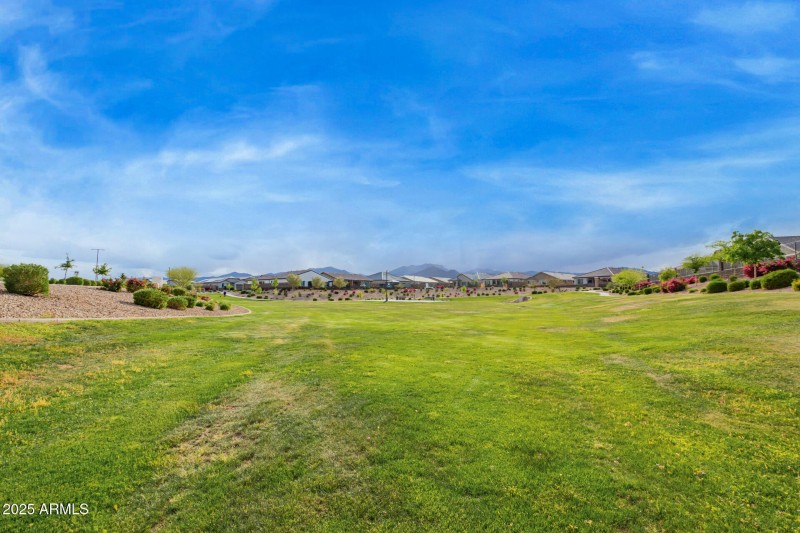 Community Park