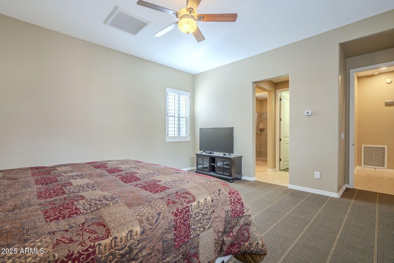 45-web-or-mls-Ficus-45