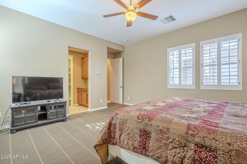 46-web-or-mls-Ficus-46