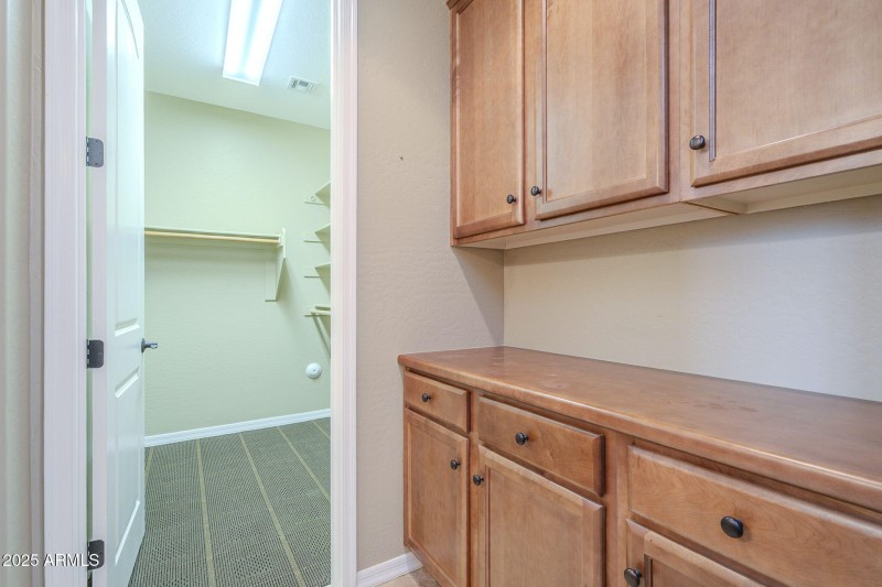 48-web-or-mls-Ficus-48