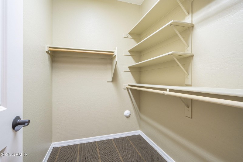 49-web-or-mls-Ficus-49