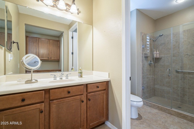 50-web-or-mls-Ficus-50