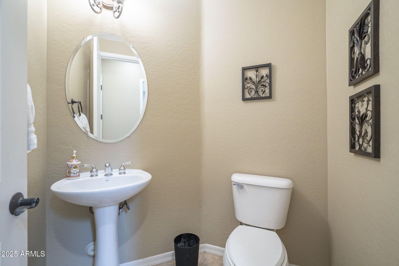 52-web-or-mls-Ficus-52