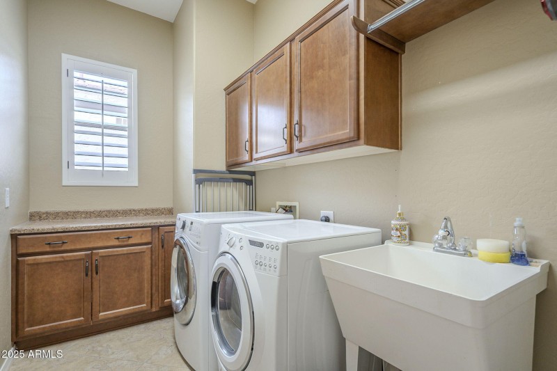 53-web-or-mls-Ficus-53